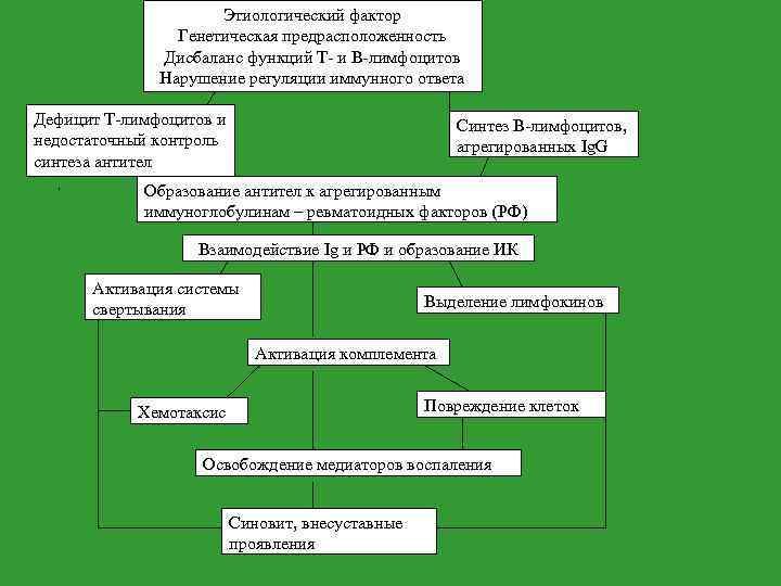Этиологический фактор Генетическая предрасположенность Дисбаланс функций Т- и В-лимфоцитов Нарушение регуляции иммунного ответа Дефицит