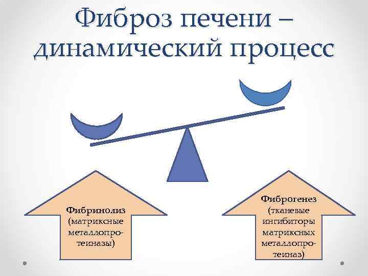 Фиброз печени – динамический процесс Фибринолиз (матриксные металлопротеиназы) Фиброгенез (тканевые ингибиторы матриксных металлопротеиназ) 