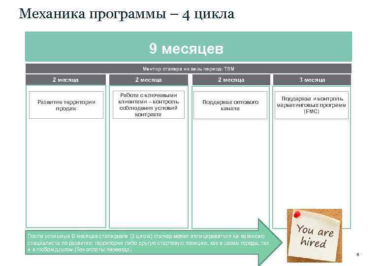 Механика программы – 4 цикла 9 месяцев Ментор стажера на весь период- TSM 2