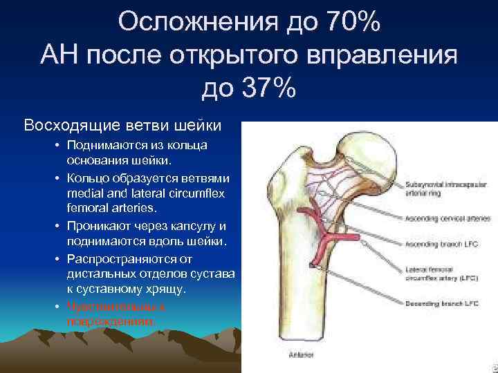 Вывих бедра карта вызова смп