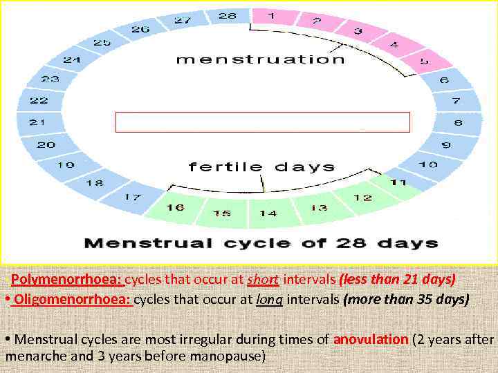 Length of cycle The mean length of the cycle is 28 days ± 7