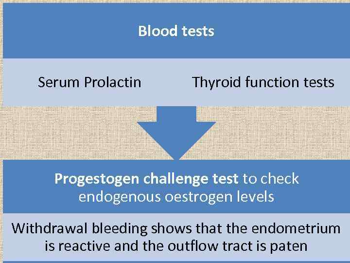 Blood tests Serum Prolactin Thyroid function tests Progestogen challenge test to check endogenous oestrogen