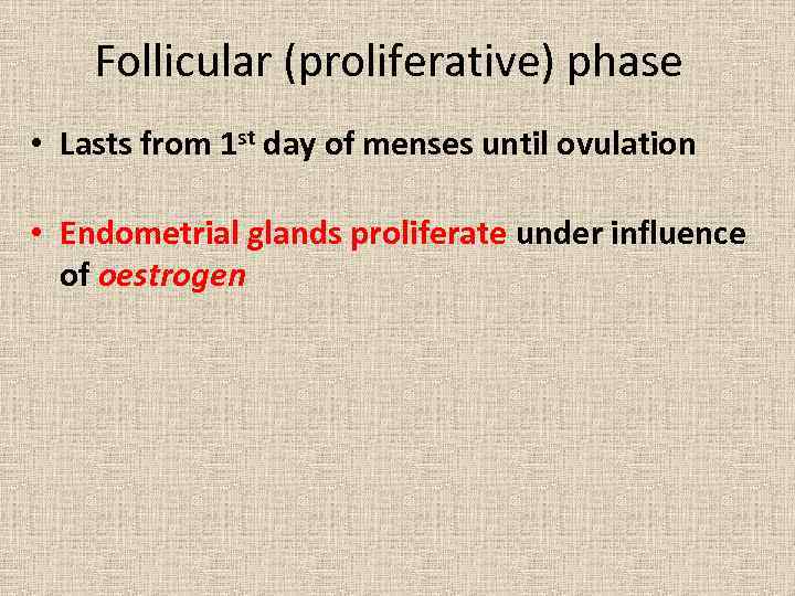 Follicular (proliferative) phase • Lasts from 1 st day of menses until ovulation •