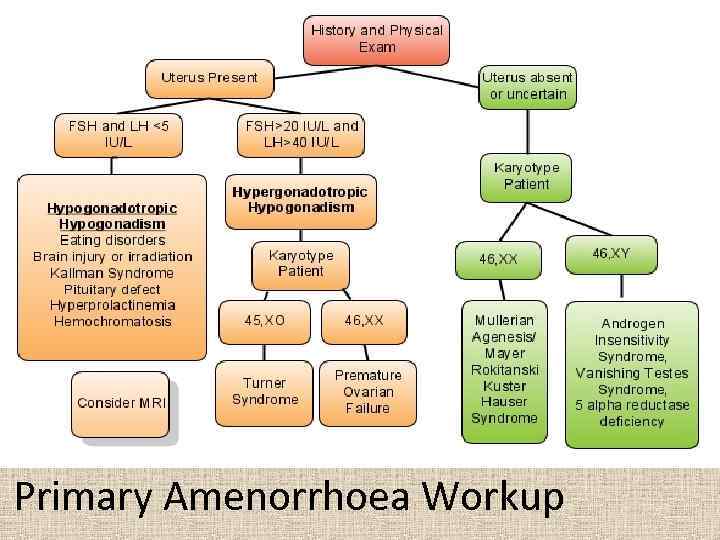 Primary Amenorrhoea Workup 