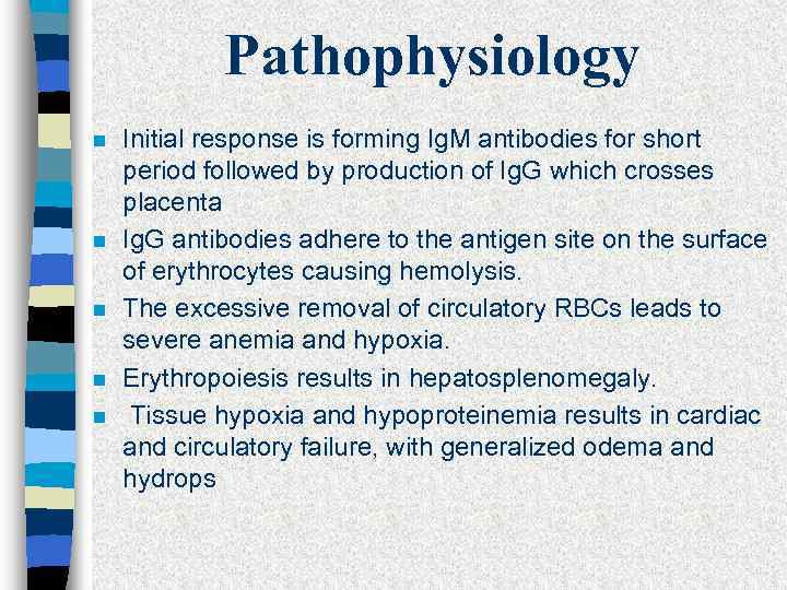 Pathophysiology n n n Initial response is forming Ig. M antibodies for short period