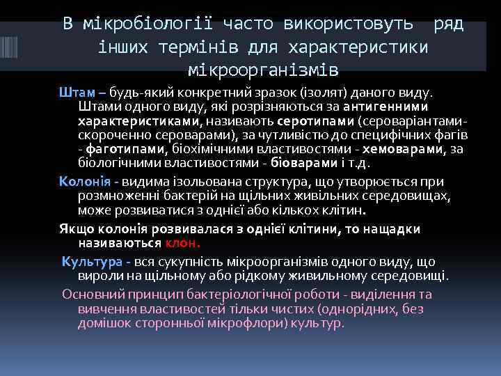 В мікробіології часто використовуть ряд інших термінів для характеристики мікроорганізмів Штам – будь-який конкретний