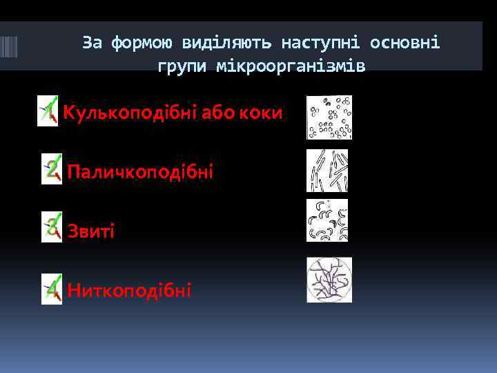 За формою виділяють наступні основні групи мікроорганізмів Кулькоподібні або коки Паличкоподібні Звиті Ниткоподібні 
