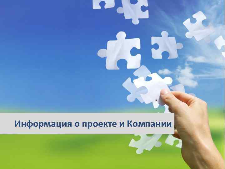 Информация о проекте и Компании Строго конфиденциально. Апрель 2010 