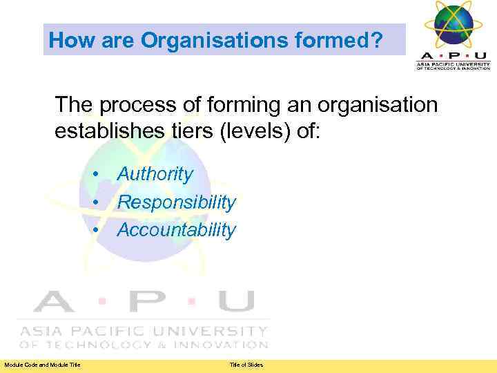 How are Organisations formed? The process of forming an organisation establishes tiers (levels) of: