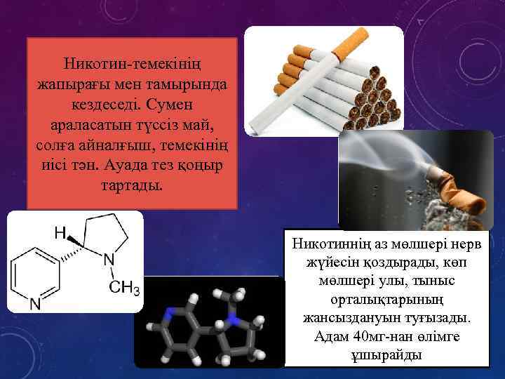 Никотин-темекінің жапырағы мен тамырында кездеседі. Сумен араласатын түссіз май, солға айналғыш, темекінің иісі тән.