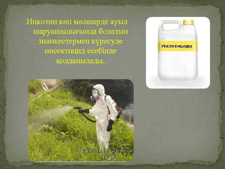 Никотин көп мөлшерде ауыл шаруашылығында болатын зиянкестермен күресуде инсектицид есебінде қолданылады. 