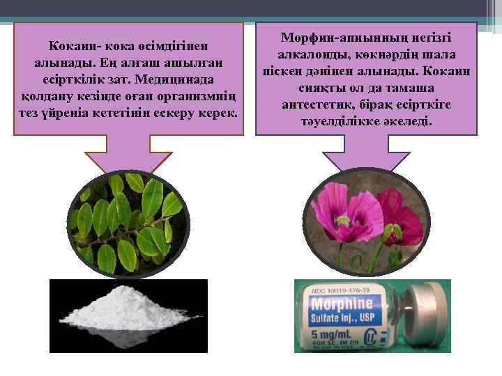 Кокаин- кока өсімдігінен алынады. Ең алғаш ашылған есірткілік зат. Медицинада қолдану кезінде оған организмнің