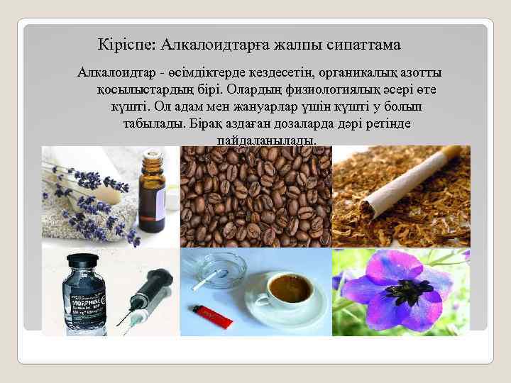 Кіріспе: Алкалоидтарға жалпы сипаттама Алкалоидтар - өсімдіктерде кездесетін, органикалық азотты қосылыстардың бірі. Олардың физиологиялық
