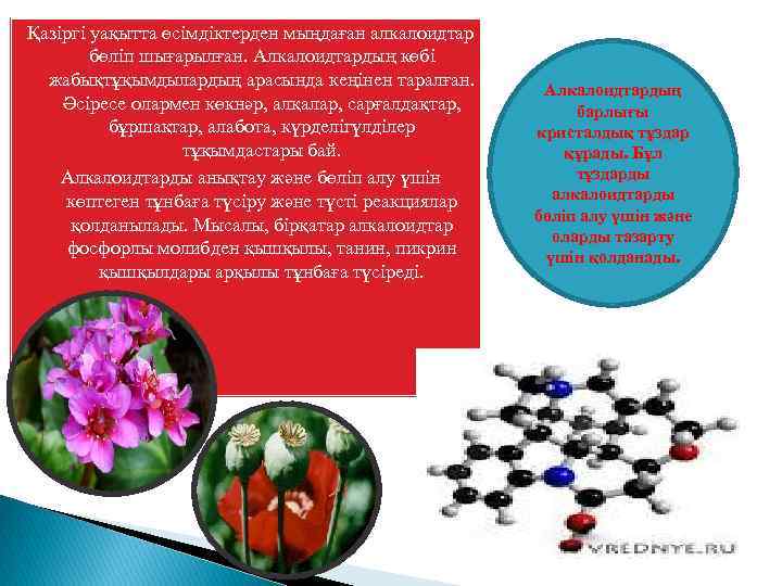Қазіргі уақытта өсімдіктерден мыңдаған алкалоидтар бөліп шығарылған. Алкалоидтардың көбі жабықтұқымдылардың арасында кеңінен таралған. Әсіресе