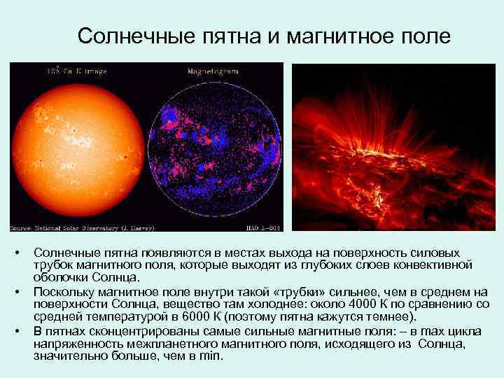 Солнечные пятна и магнитное поле • • • Солнечные пятна появляются в местах выхода