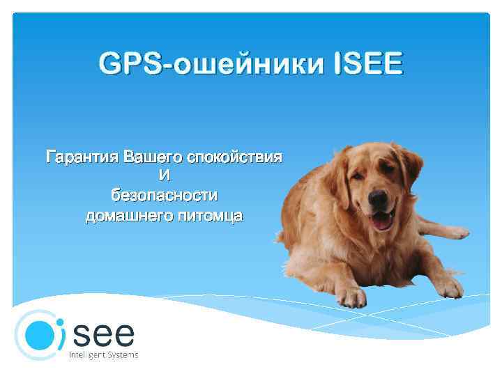 GPS-ошейники ISEE Гарантия Вашего спокойствия И безопасности домашнего питомца 