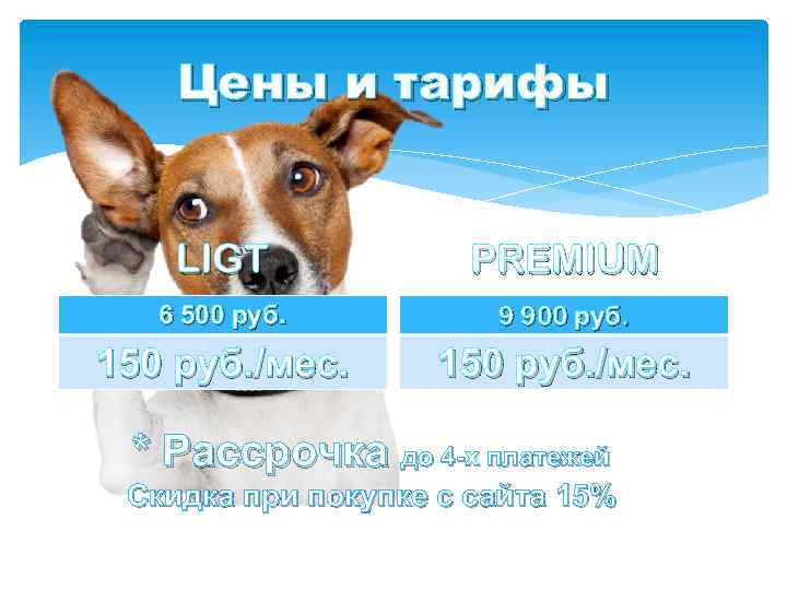 Цены и тарифы LIGT PREMIUM 6 500 руб. 9 900 руб. 150 руб. /мес.