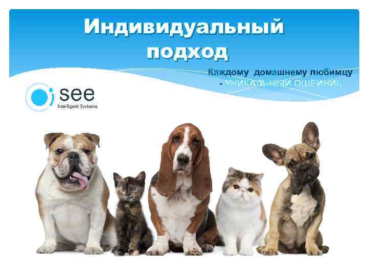 Индивидуальный подход Каждому домашнему любимцу - УНИКАЛЬНЫЙ ОШЕЙНИК 