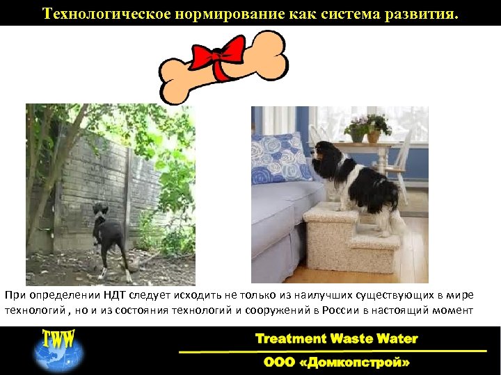 Технологическое нормирование как система развития. При определении НДТ следует исходить не только из наилучших