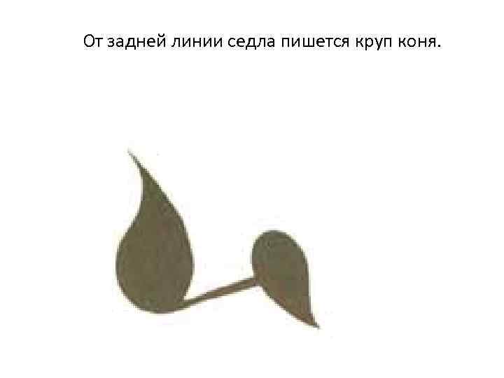 От задней линии седла пишется круп коня. 