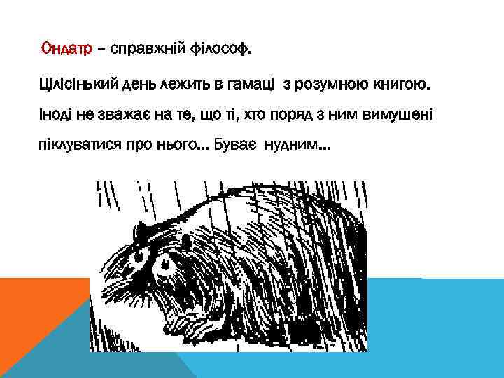Ондатр – справжній філософ. Цілісінький день лежить в гамаці з розумною книгою. Іноді не