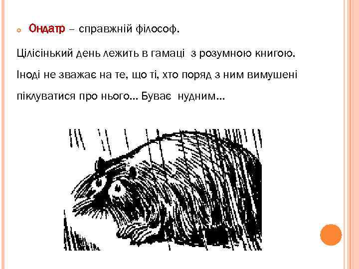  Ондатр – справжній філософ. Цілісінький день лежить в гамаці з розумною книгою. Іноді