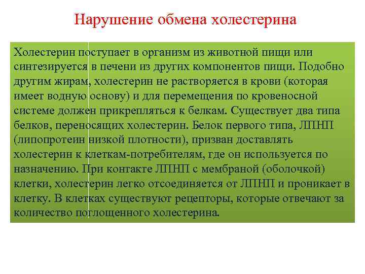 Нарушение обмена холестерина Холестерин поступает в организм из животной пищи или синтезируется в печени