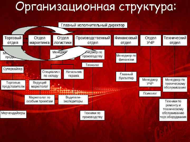 Организационная структура: 