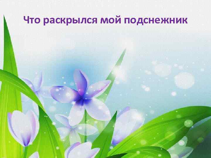 Что раскрылся мой подснежник 