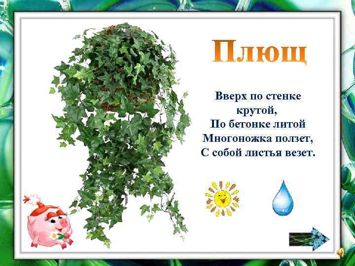 Вверх по стенке крутой, По бетонке литой Многоножка ползет, С собой листья везет. 