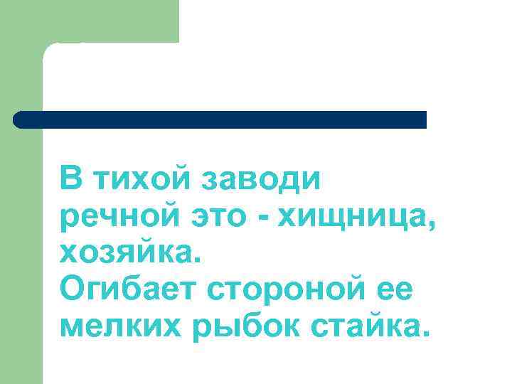 В тихой заводи речной это - хищница, хозяйка. Огибает стороной ее мелких рыбок стайка.