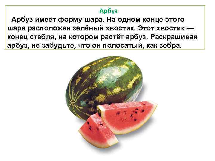 Арбуз имеет форму шара. На одном конце этого шара расположен зелёный хвостик. Этот хвостик