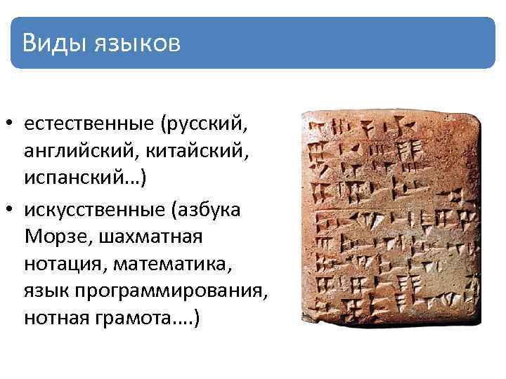 Виды языков • естественные (русский, английский, китайский, испанский…) • искусственные (азбука Морзе, шахматная нотация,