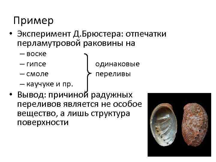 Пример • Эксперимент Д. Брюстера: отпечатки перламутровой раковины на – воске – гипсе –