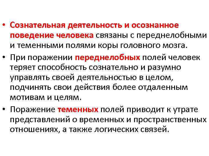  • Сознательная деятельность и осознанное поведение человека связаны с переднелобными и теменными полями