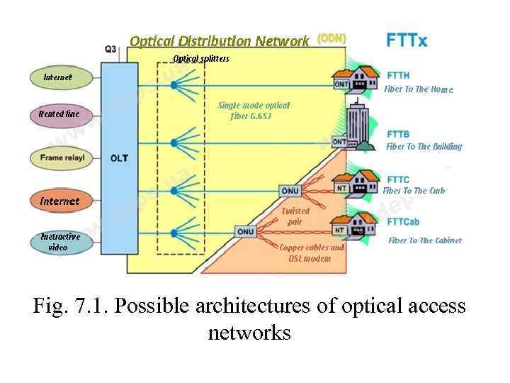 Fig. 7. 1. Possible architectures of optical access networks 