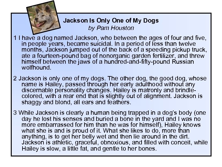Jackson Is Only One of My Dogs by Pam Houston 1 I have a