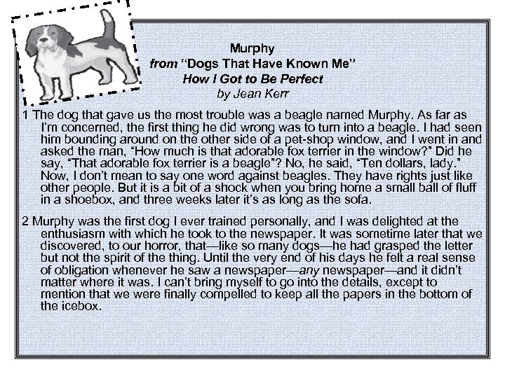 Murphy from “Dogs That Have Known Me” How I Got to Be Perfect by