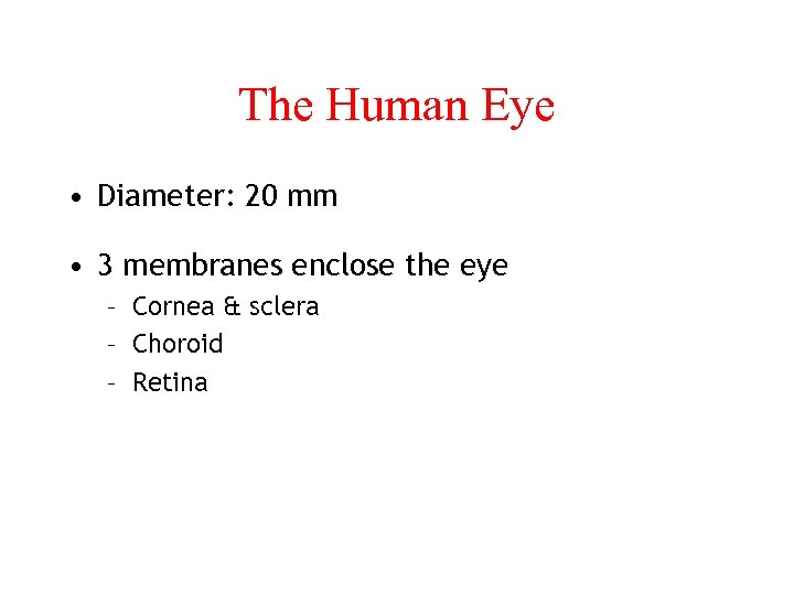 The Human Eye • Diameter: 20 mm • 3 membranes enclose the eye –