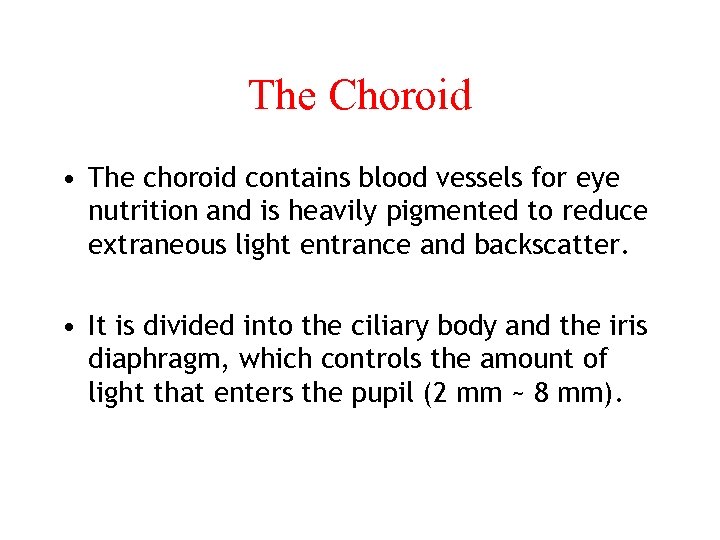 The Choroid • The choroid contains blood vessels for eye nutrition and is heavily