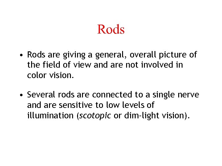 Rods • Rods are giving a general, overall picture of the field of view
