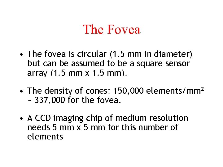 The Fovea • The fovea is circular (1. 5 mm in diameter) but can