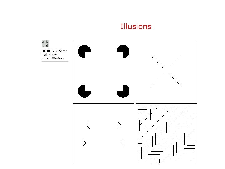 Illusions 