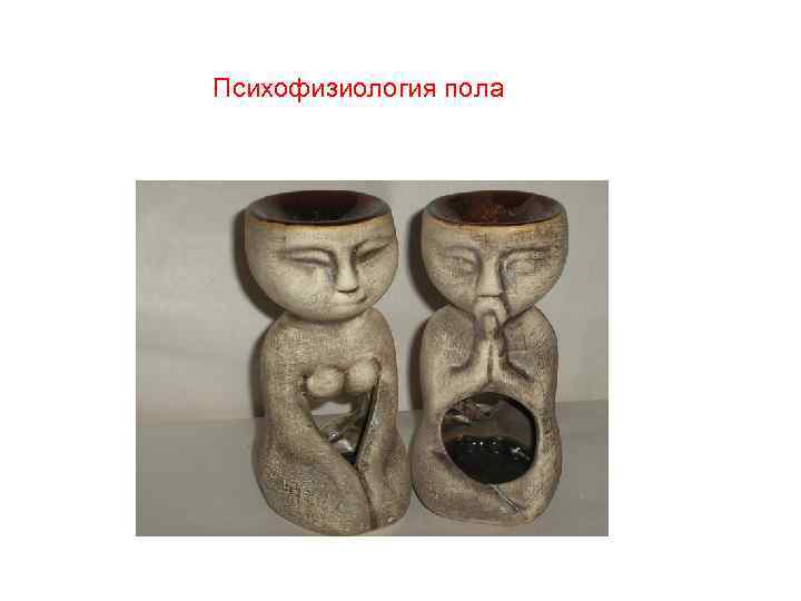 Психофизиология пола 