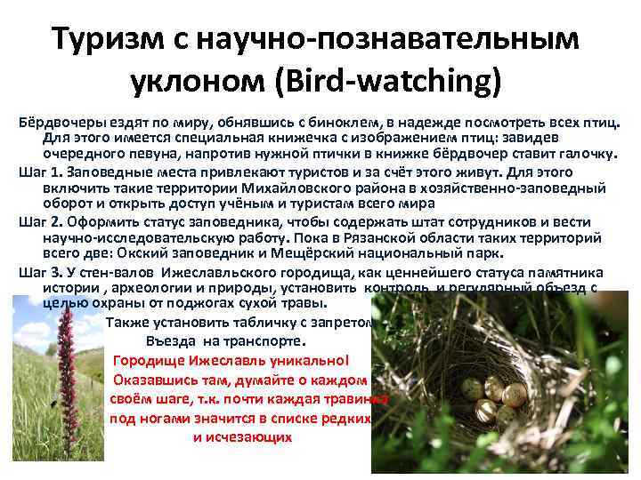 Туризм с научно-познавательным уклоном (Вird-watching) Бёрдвочеры ездят по миру, обнявшись с биноклем, в надежде