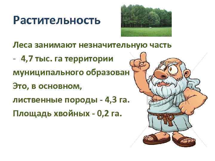 Растительность Леса занимают незначительную часть - 4, 7 тыс. га территории муниципального образования. Это,