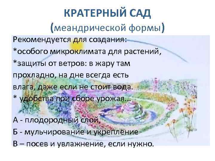 КРАТЕРНЫЙ САД (меандрической формы) Рекомендуется для создания: *особого микроклимата для растений, *защиты от ветров: