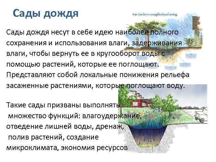 Сады дождя несут в себе идею наиболее полного сохранения и использования влаги, задерживания влаги,