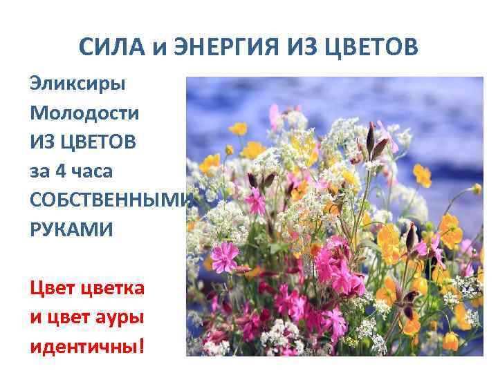 СИЛА и ЭНЕРГИЯ ИЗ ЦВЕТОВ Эликсиры Молодости ИЗ ЦВЕТОВ за 4 часа СОБСТВЕННЫМИ РУКАМИ