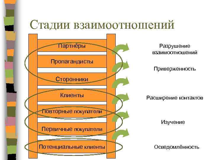 Стадия взаимодействия